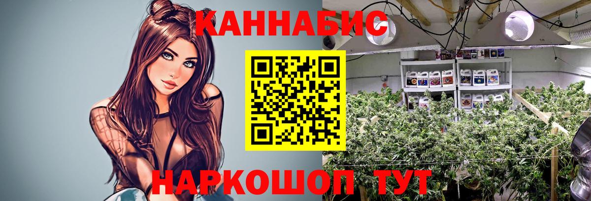 Шишки марихуана гибрид Вятские Поляны